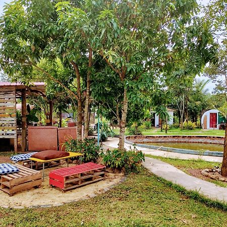 The Bear Bungalow Kampot Εξωτερικό φωτογραφία
