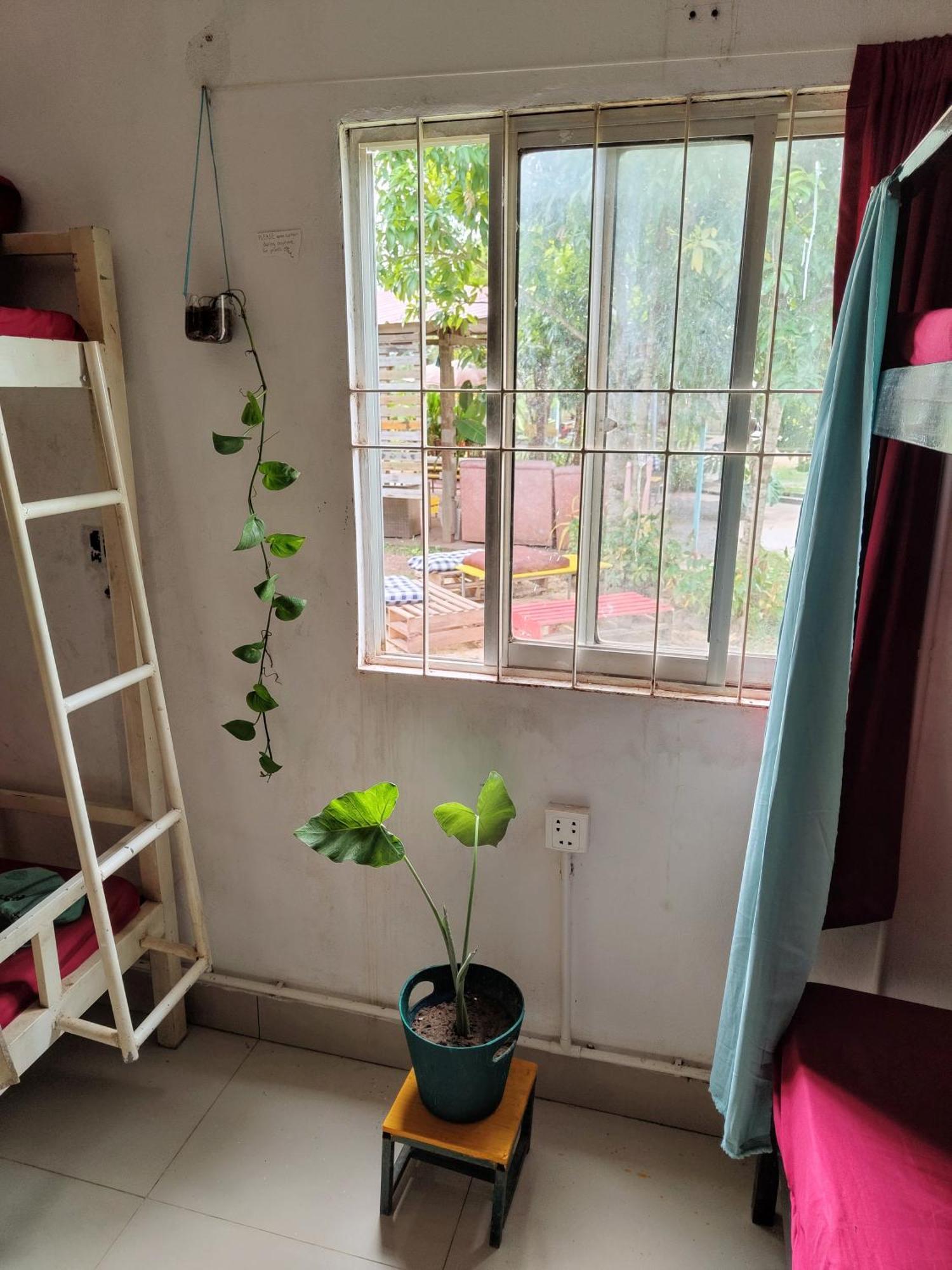The Bear Bungalow Kampot Εξωτερικό φωτογραφία